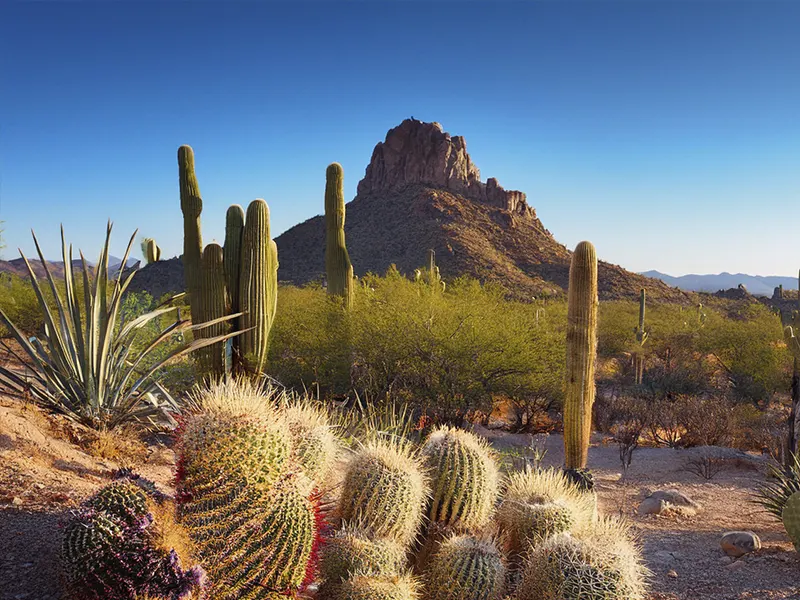 Sonora: Avances y desafíos en la Mejora Regulatoria 2020-2022