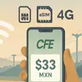 Planes de conectividad: de Internet gratuito a servicio comercial