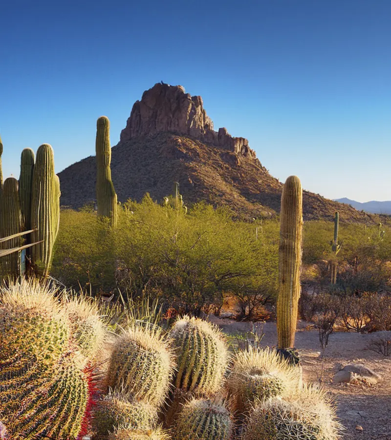 Sonora: Avances y desafíos en la Mejora Regulatoria 2020-2022