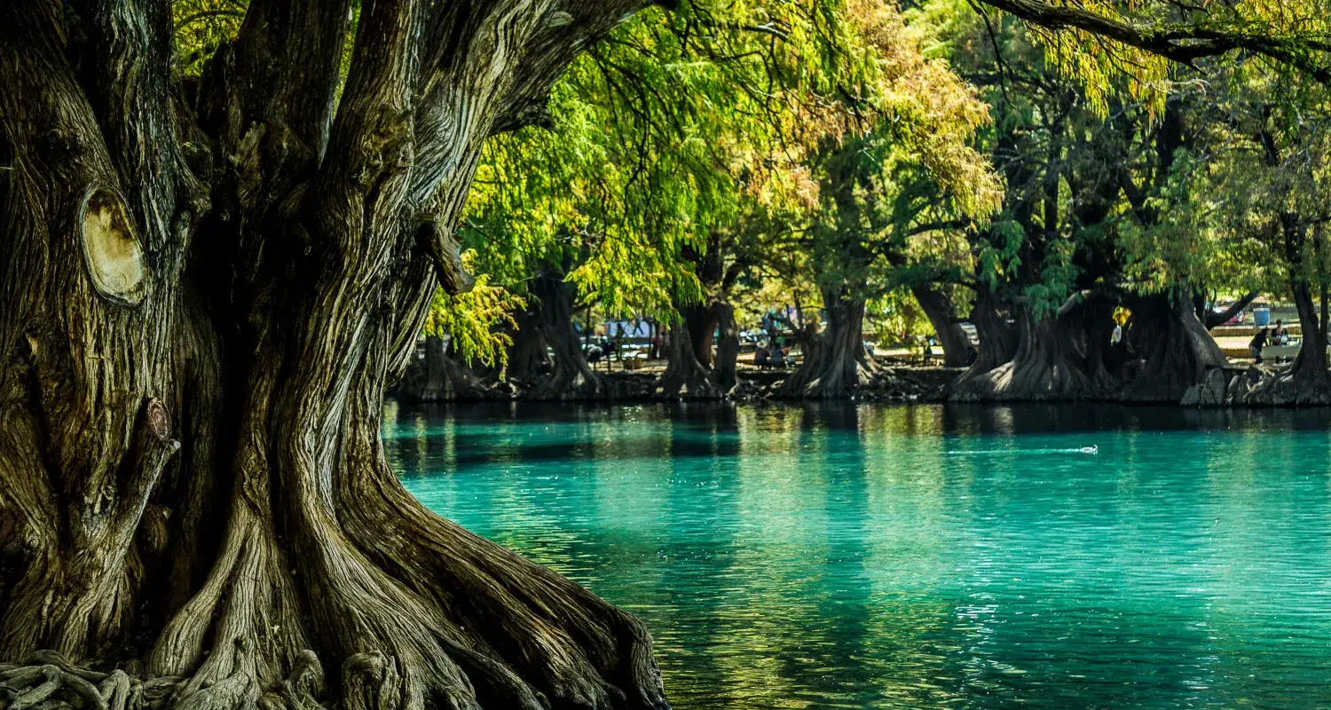 Lago de Camécuaro: Nuevo plan para proteger su belleza natural