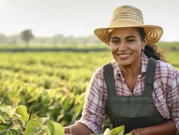 Modificaciones al Programa de Precios de Garantía: ¿Qué Significan para Productores y Consumidores en México?