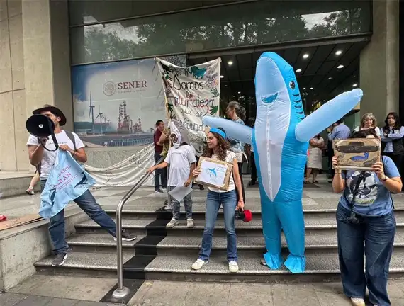 Grito ambiental en la SENER: Coalición exige cancelar proyectos de gas que amenazan al Golfo de California