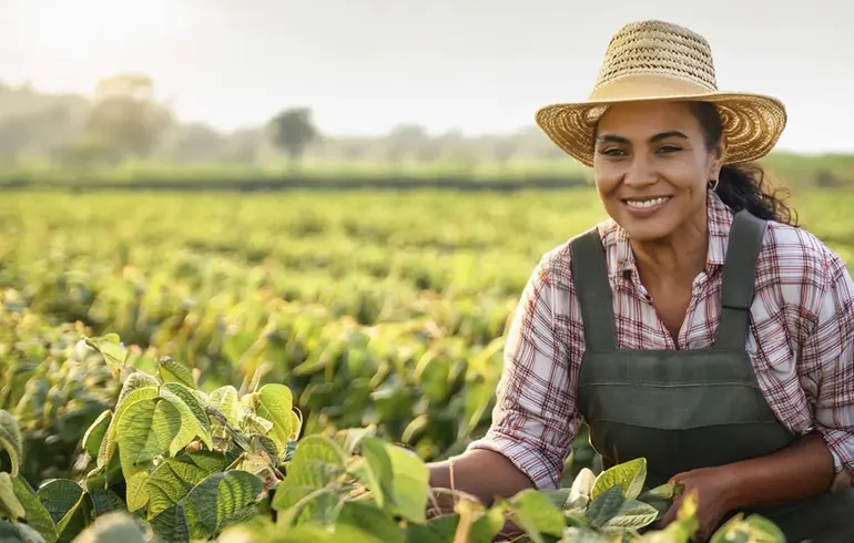 Modificaciones al Programa de Precios de Garantía: ¿Qué Significan para Productores y Consumidores en México?