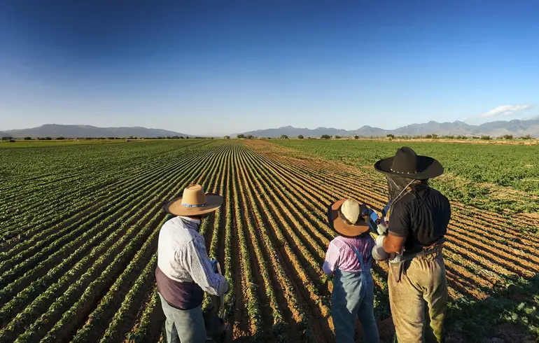 Beneficios Fiscales en el Campo: Impulso a la Formalización Laboral