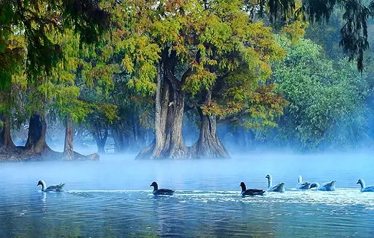 Lago de Camécuaro: Nuevo plan para proteger su belleza natural