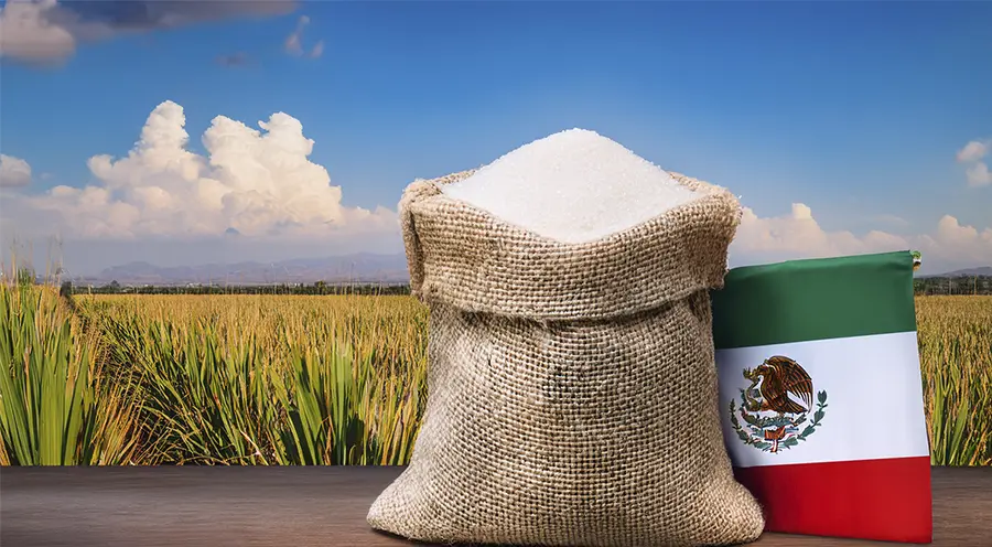 ¡México ajusta el cupo de exportación de azúcar a EE.UU.!