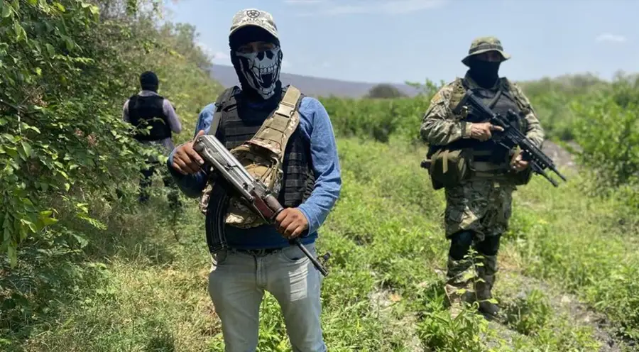Mexicanos rechazan llamar 'terroristas' a cárteles, revela sondeo
