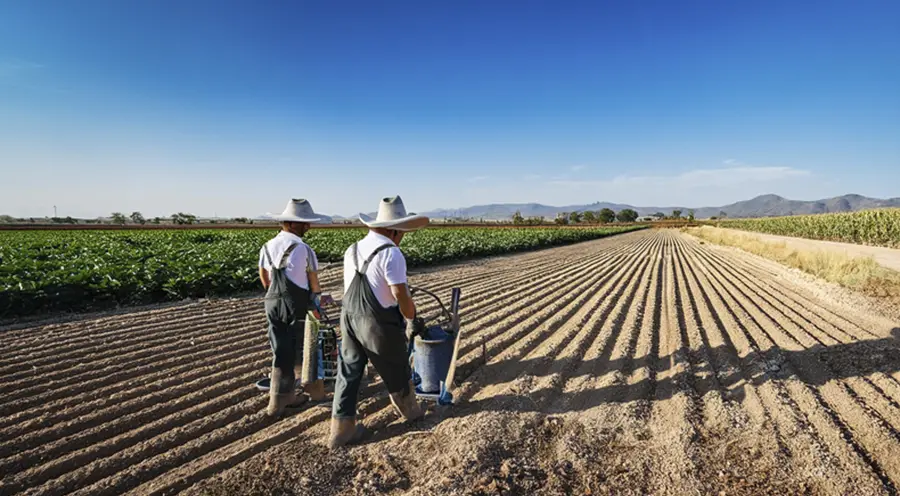 Beneficios Fiscales en el Campo: Apoyo para Empleadores y Trabajadores
