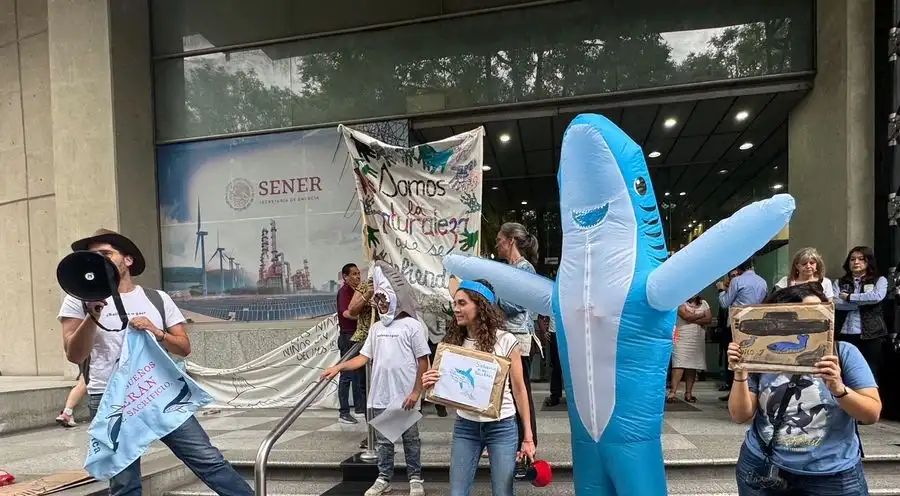 Grito ambiental en la SENER: Coalición exige cancelar proyectos de gas que amenazan al Golfo de California