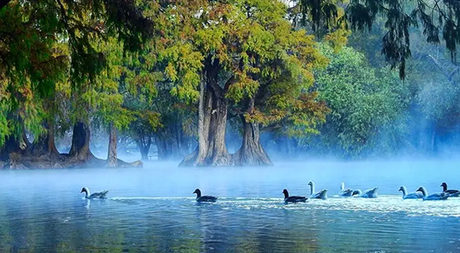 Lago de Camécuaro: Nuevo plan para proteger su belleza natural