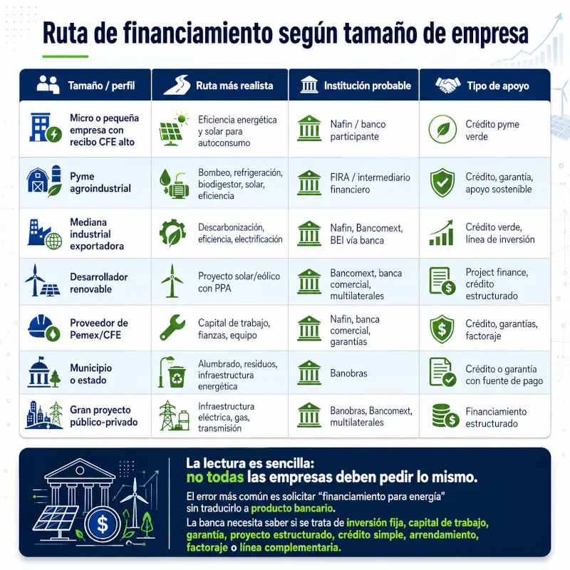 AI Regula Solutions